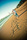 Beautiful San Francisco, San Jose, Norhtern California engagement photos.