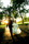 Beautiful Silverado Resort Napa Wedding